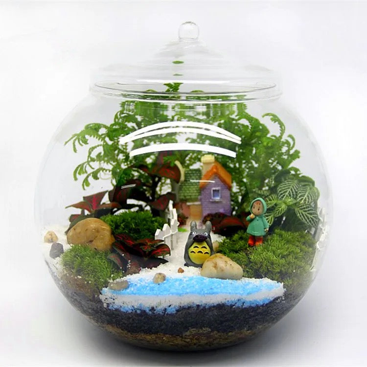 Glass terrarium with lid