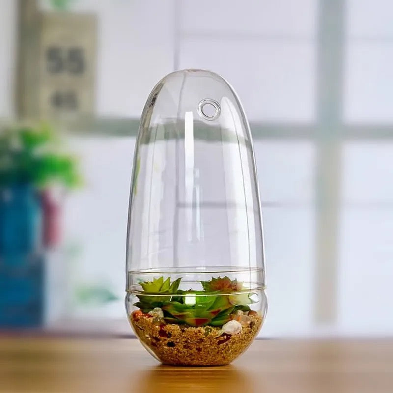 Glass terrarium, egg-shaped