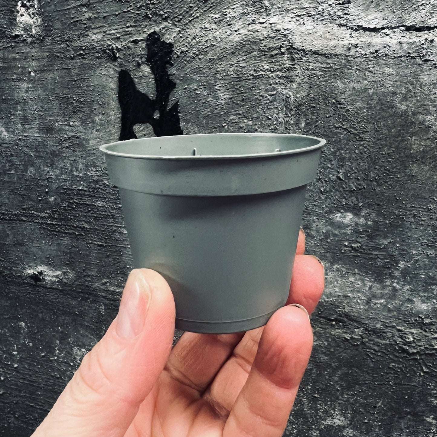 Plastic pot Ø6 cm, set of 10