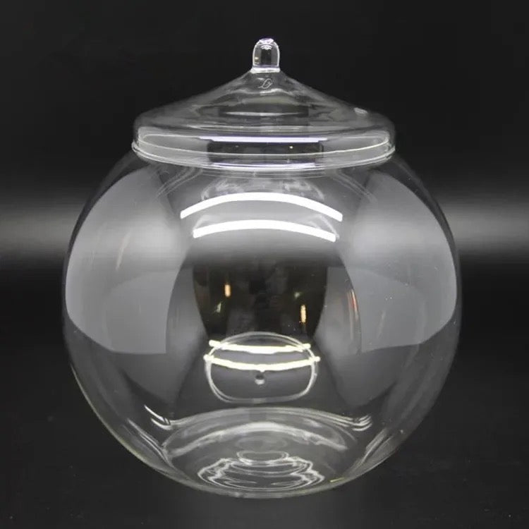 Glass terrarium with lid