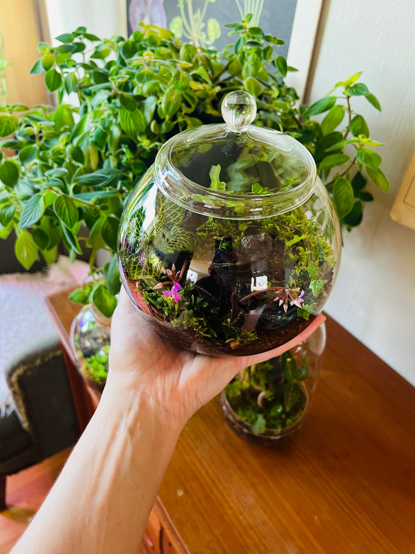 Glass terrarium with LED light