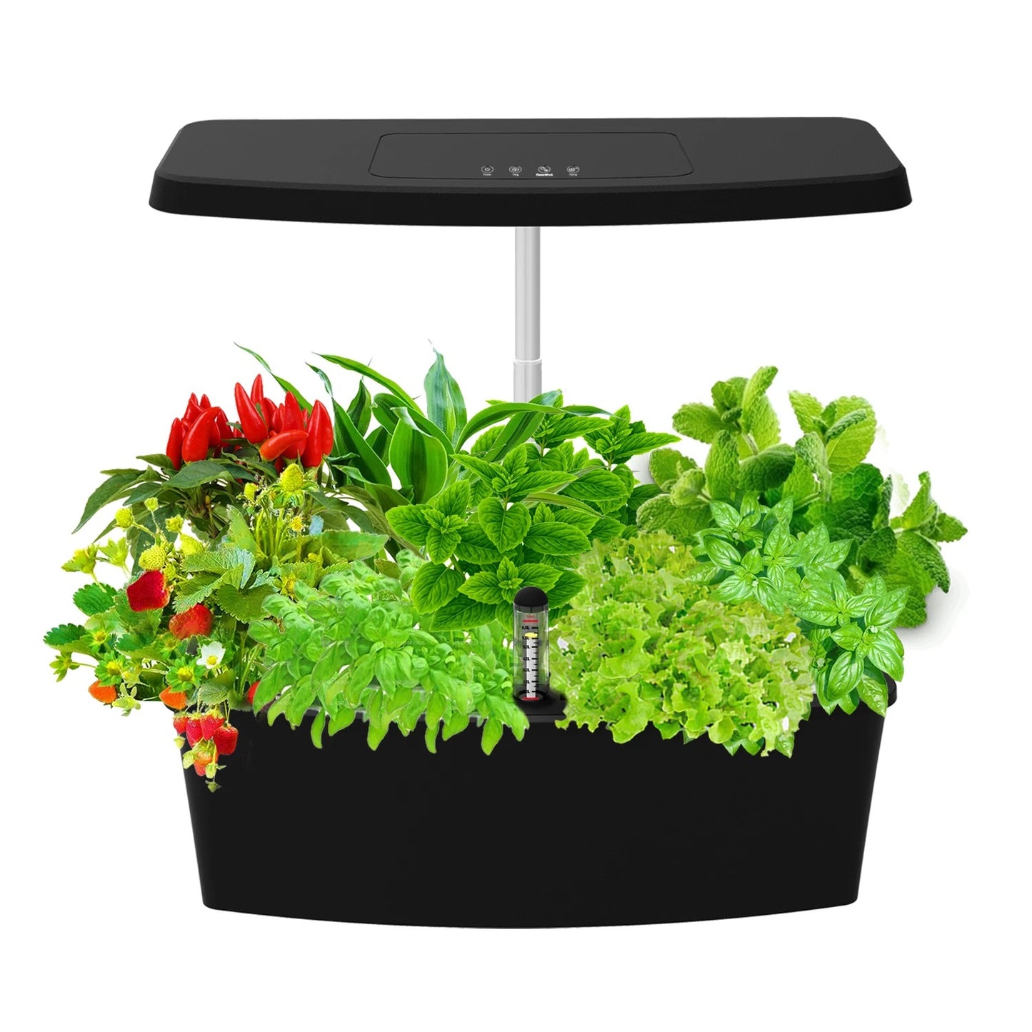 Hydroponic garden in black plastic (Sprout)