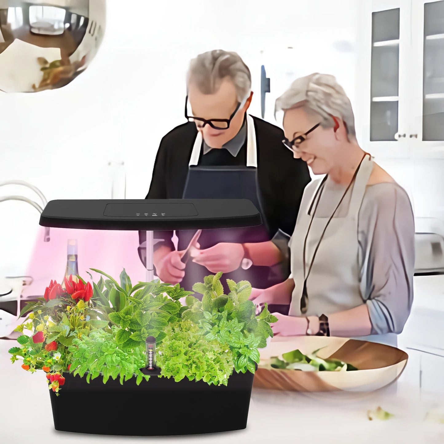 Hydroponic garden in black plastic (Sprout)