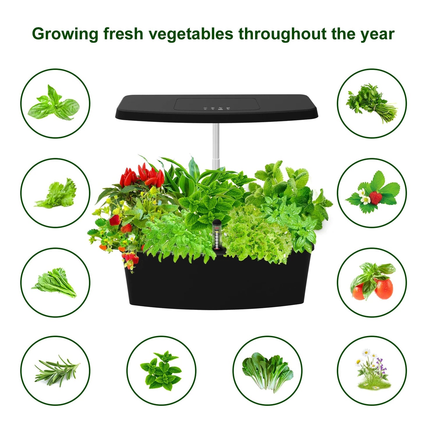 Hydroponic garden in black plastic (Sprout)