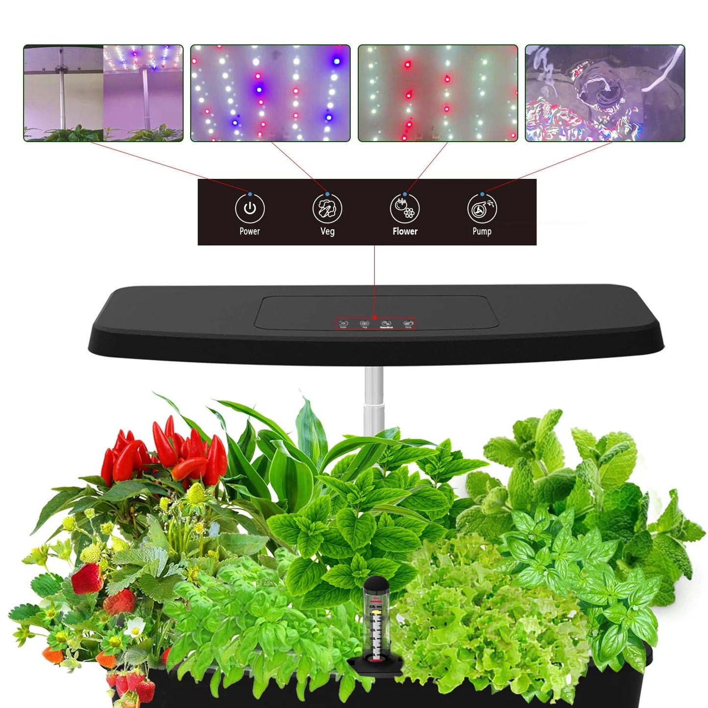 Hydroponic garden in black plastic (Sprout)