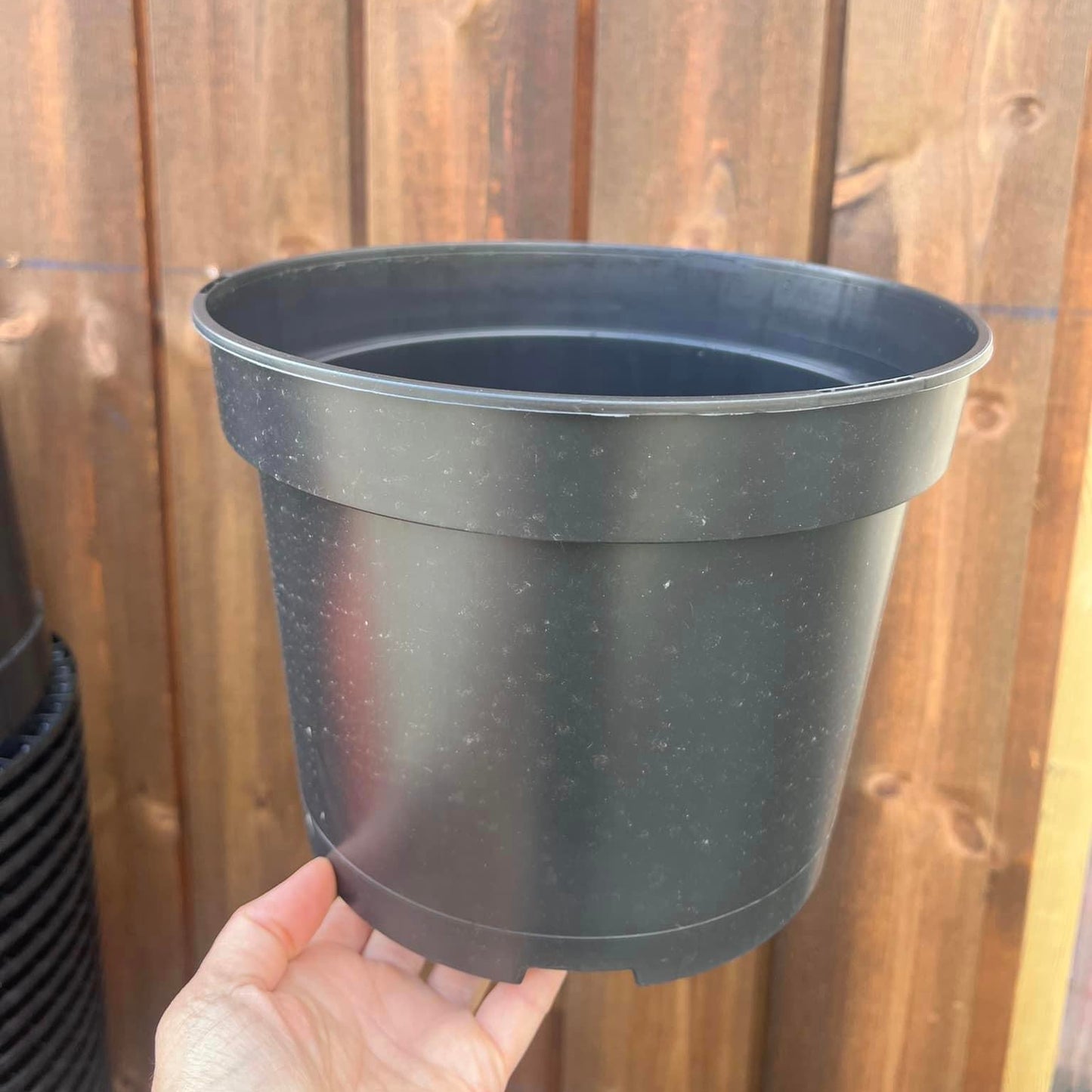 Plastic pot, Ø21.5 cm