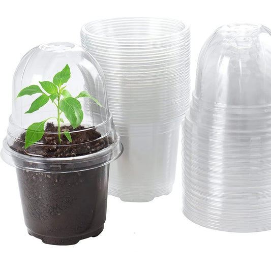 Transparent plastic pots with lids, 10 pcs