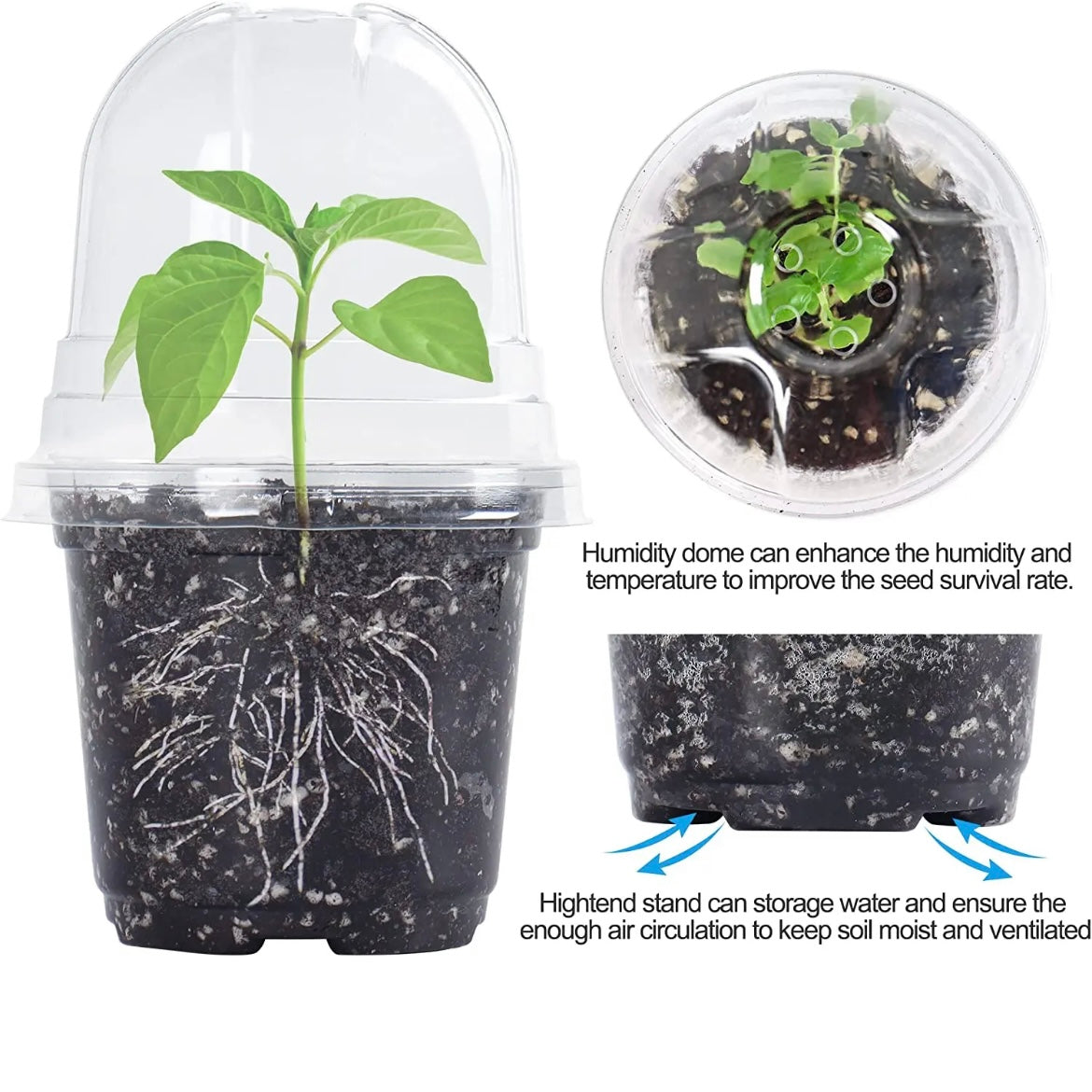 Transparent plastic pots with lids, 10 pcs