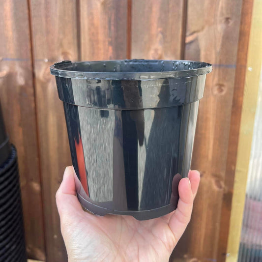 Plastic pot, Ø14 cm