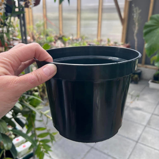 Plastic pot, 2 litres