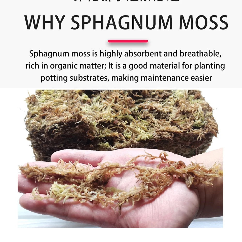 Compressed sphagnum moss, 150 g