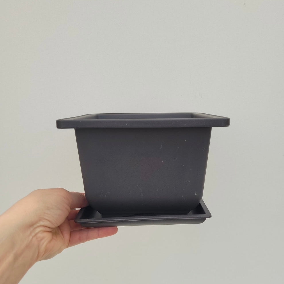 Bonzai pot in plastic with barrel, 17x17x12 cm